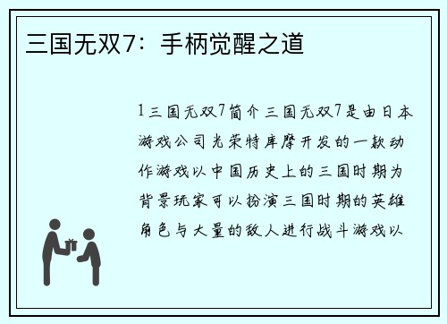 三国无双7：手柄觉醒之道